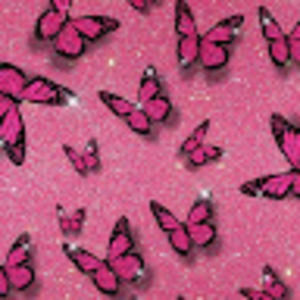 Meet your Posher, Sierra